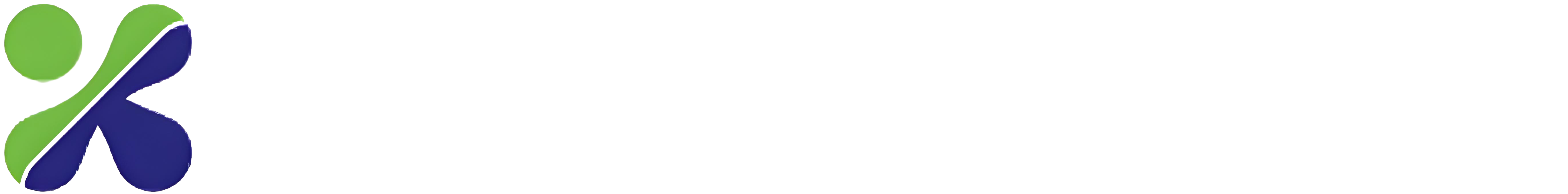 山西新天源药业有限公司